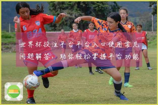 世界杯投注平台平台入口使用常见问题解答，助你轻松掌握平台功能与体验