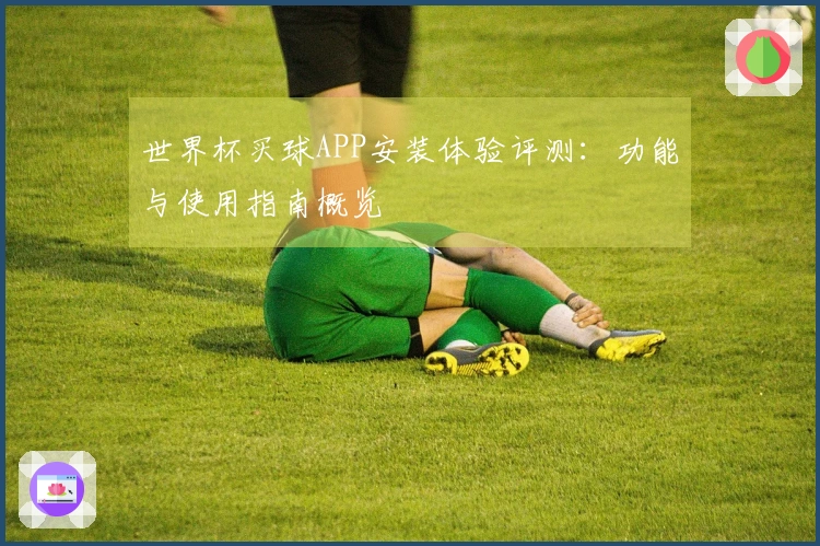世界杯买球APP安装体验评测：功能与使用指南概览