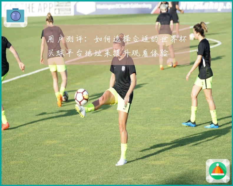 用户测评：如何选择合适的世界杯买球平台地址来提升观看体验