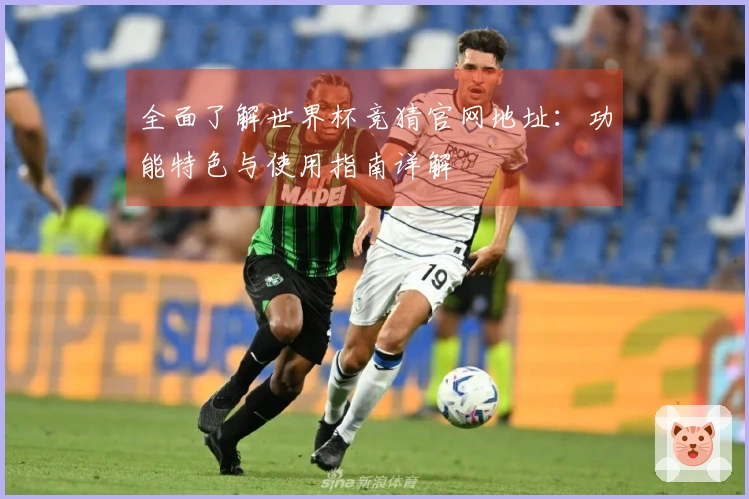 全面了解世界杯竞猜官网地址：功能特色与使用指南详解