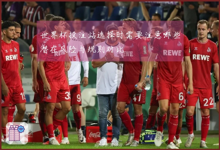 世界杯投注站选择时需要注意哪些潜在风险与规则对比