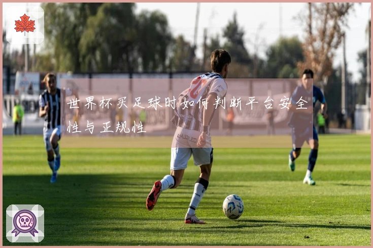 世界杯买足球时如何判断平台安全性与正规性