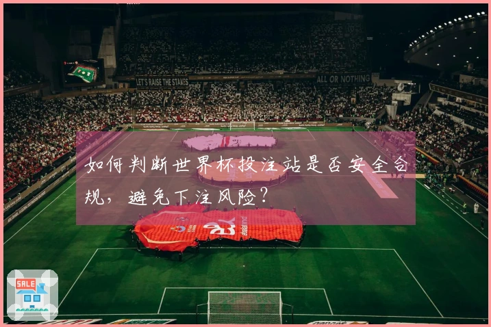 如何判断世界杯投注站是否安全合规，避免下注风险？