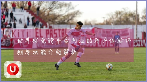 世界杯竞猜平台网址的用户体验评测与功能介绍解析