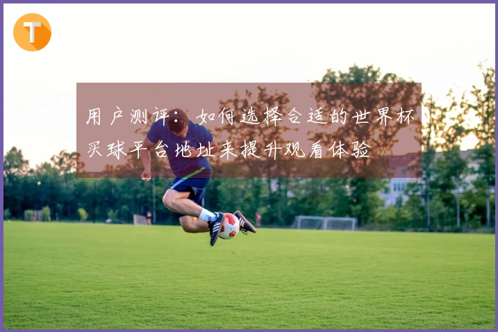 用户测评：如何选择合适的世界杯买球平台地址来提升观看体验
