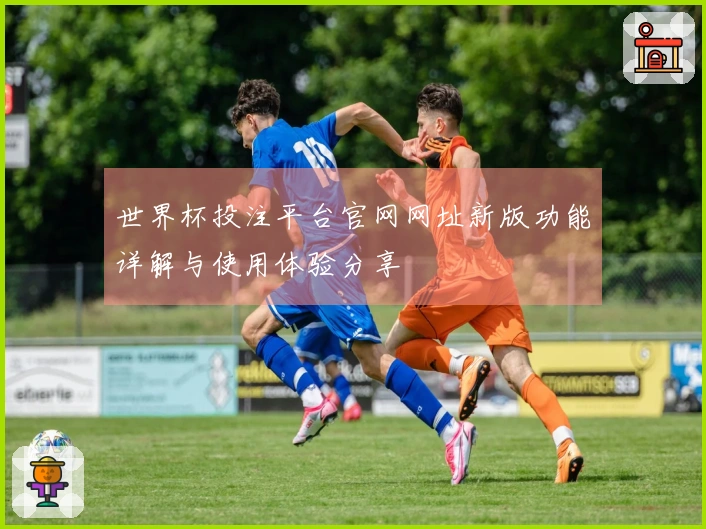世界杯投注平台官网网址新版功能详解与使用体验分享