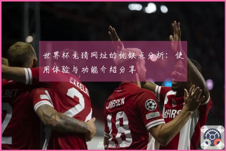 世界杯竞猜网址的优缺点分析:使用体验与功能介绍分享