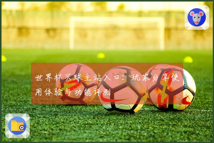 世界杯买球主站入口：玩家分享使用体验与功能评测