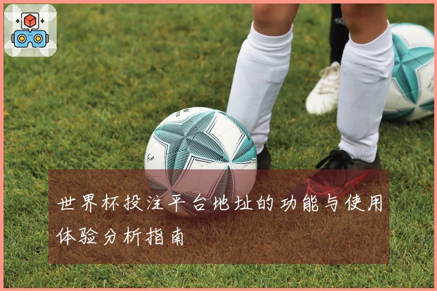 世界杯投注平台地址的功能与使用体验分析指南