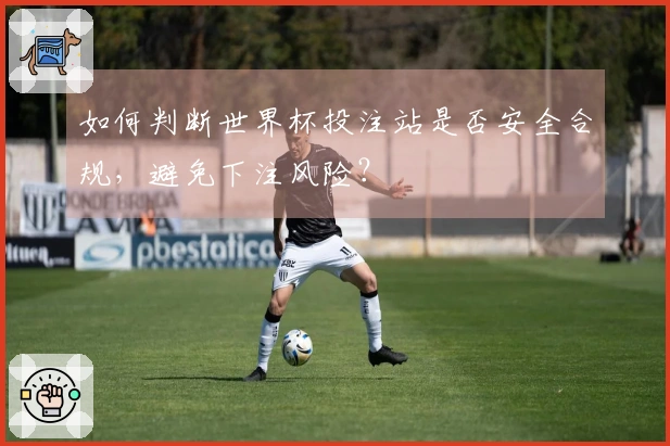 如何判断世界杯投注站是否安全合规，避免下注风险？