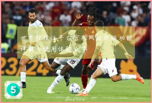 世界杯投注平台官网网址新版功能详解与使用体验分享