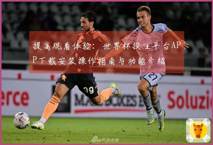 提高观看体验：世界杯投注平台APP下载安装操作指南与功能介绍