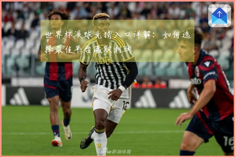 世界杯滚球竞猜入口详解：如何选择最佳平台赢取利润