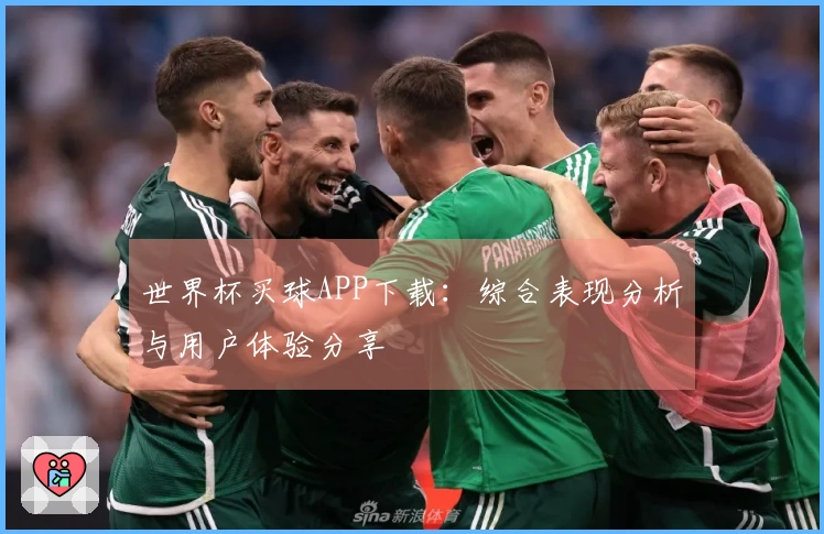 世界杯买球APP下载：综合表现分析与用户体验分享